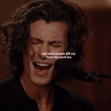 Shawn Mendes Bio Ideas