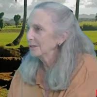 PDF) From Kūkaniloko: Sirius in the Hawaiian Sky Martha H. Noyes