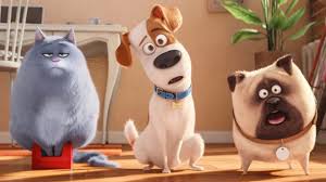 Looking for online definition of pet or what pet stands for? Pets 3 Wird Es Eine Fortsetzung Geben Kino De