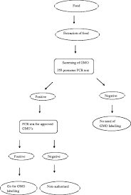 Maybe you would like to learn more about one of these? Genetically Modified Foods Safety Risks And Public Concerns A Review Springerlink