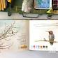 Nature Journaling in Flight: Birds - 405 N Market St Event Image
