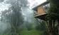 Jungle Jive Tree House Munnar