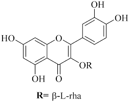 Image result for Euphorbia matabelensis