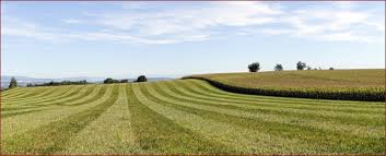 Les critères du classement en zone agricole sont objectifs et définis dans le code de l'urbanisme Comment Apprecier La Compatibilite D Un Cinaspic Avec L Affectation D Une Zone Agricole Jurisurba