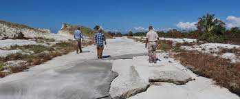 Stone memorial st joseph peninsula state park in port st. Hurricane Recovery T H Stone Memorial St Joseph Peninsula State Park Florida State Parks