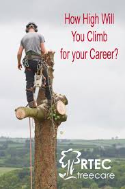 Aerial rescue is a critical skill on every professional tree work site and recreational climb. Tree Climber Jobs Looking For Tree Climbers