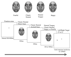 Frontiers | The Gaze Cueing Effect and Its Enhancement by Facial  Expressions Are Impacted by Task Demands: Direct Comparison of Target  Localization and Discrimination Tasks