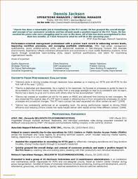Web Services Testing Resume Luxury 24 Employment Resume Examples Job Resume Examples Manager Resume Project Manager Resume