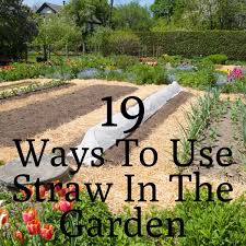 A layer of straw mulch inhibits weed growth—usually. 19 Smart Ways To Use Straw In The Garden Gardening