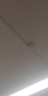 Ceiling light fixtures with no screws are a type of lighting mounted on ceilings without any screws attaching them on the ceiling. Pudding Cup Stuck On The Ceiling Of My School Kidsarefuckingstupid