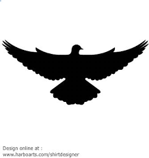 White Bird With Wings Spread Pin On Pigeon Kings