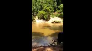 This represents about 23% out of an estimated. Kuala Koh National Park Gua Musang Destimap Destinations On Map
