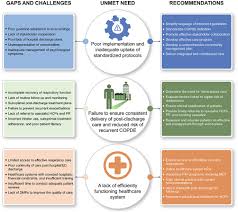 Image result for COPD Exacerbation Prevention