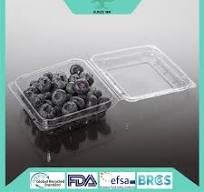 China Custom Blueberry Clamshell Packaging Manufacturers ...