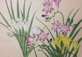 Freesia Tanigami Konan 1917 Woodblock Flower Drawing Japanese Art Styles Konan