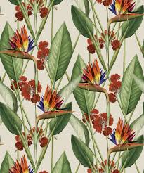 Check out our bird paradise plant selection for the very best in unique or custom, handmade pieces from our craft supplies & tools shops. Birds Of Paradise Wallpaper Bold Large Scale Floral Milton King