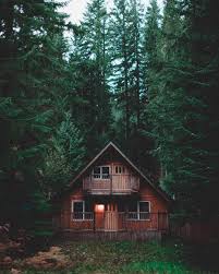 The Cabin Chronicles On Instagram Hi Guys Ending The Kstochronicles Takeover With One Of My Favorite Photographs I Forest House Cabin Cabins In The Woods