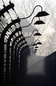 Image result for holocaust photos