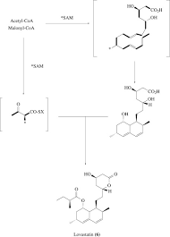 Check spelling or type a new query. Lovastatin An Overview Sciencedirect Topics