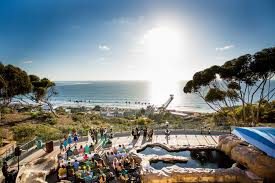 Birch Aquarium At Scripps Institution Of Oceanography Say I Do To Stunning Ocean Views At Birch Aquarium Exquisite Weddings In 2020 Birch Aquarium Ocean View Outdoor Reception