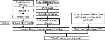 979 x 1500 jpeg 410 кб. Modeling And Simulation Of An Anatomy Teaching System Visual Computing For Industry Biomedicine And Art Full Text