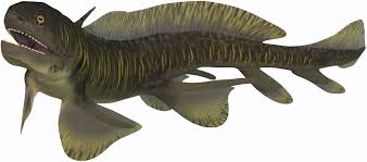 Image result for Ochthocharis