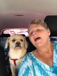 Lost Cat Binx in Farmington, Missouri, near Jefferson Elementary