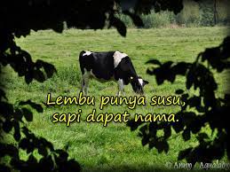Sapi ialah sejenis haiwan yang rupanya seakan lembu dan berwarna hitam seperti kerbau. Lembu Punya Susu Sapi Dapat Nama Pepatah Melayu