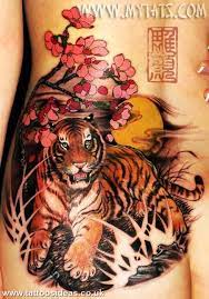 Lion Tiger Tattoos Meanings And Pictures Tattoos Ideas Tiger Tattoo Tiger Tattoo Images Tattoos
