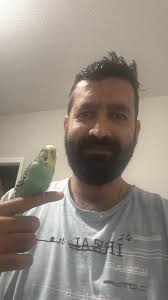 I love my morning happy chirps!!! They get so excited when I call their  names