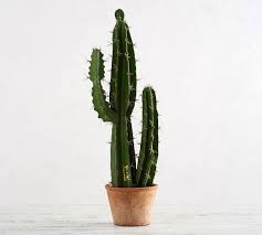 Saguaro cactus around will help balance the levels of co2, which will create a suitable surrounding. Faux Potted Saguaro Cactus Pottery Barn