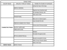 Check spelling or type a new query. Connective Tissue Lesson Plans Worksheets Reviewed By Teachers