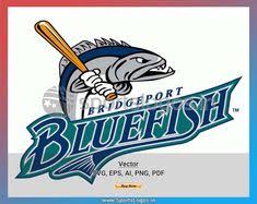 10 Best Bridgeport Bluefish Images Bridgeport Bluefish