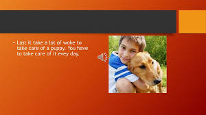 Check spelling or type a new query. How To Take Care Of A Puppy Ppt Download