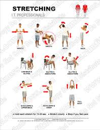 Chair exercises like stretching are perfect for seniors because they can be adapted for physical limitations, minimize the risk of injury due to falls, and still give health benefits. Free Printable Stretching Guides Ramfitness