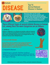 Pin On Disease Prevention