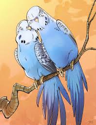 Birds Of A Feather 2019 Characters Budgie Lovebirds Valentines Piece 2019 David Wentworth On Artstation At Https Www Artstation Com Artwork 8lyadq Feather Art Animal Art Illustration Art