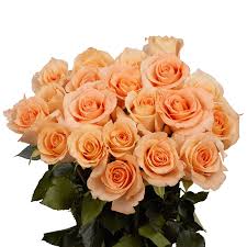 We'll help you create your. Peach Roses Send Cheap Parissiene Rose Flowers Globalrose