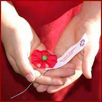 Happy Memorial Day The Buddy Poppy Http Www Vfw Org Community Buddy Poppy Buddy Poppy Remembrance Day Poppy Poppies