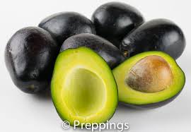 Mexicola Avocado Preppings Avocado Avocado Tree Avocado Types