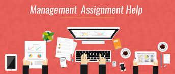 Management Assignment Homework Help Usa Most Of The Times Management Students Need To Come Up With Excell Assignment Writing Service Assignments Homework Help
