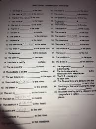 Anatomical organization questions for your custom printable tests and worksheets. Solved Directional Terminology Worksheet 1 The Finger Is Chegg Com