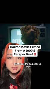 Horror movie filmed from a dog’s perspective?! What would your dog do if  they starred in a horror movie?🐶, #movie #scary #goodboy #horrormovies  #horrorfan #horrormovie #horrorart #horrorfilm ...