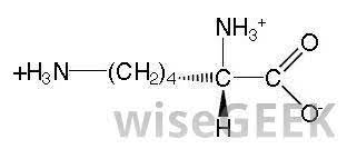 Call your doctor for medical advice about side effects. What Is The Connection Between Lysine And Hair Loss