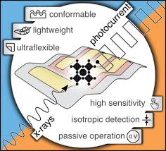 Home/bcn & bcbsm alerts, employee benefits/ebilling with blue cross blue shield of michigan. Designing Ultraflexible Perovskite X Ray Detectors Through Interface Engineering Demchyshyn 2020 Advanced Science Wiley Online Library