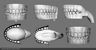 Mouth Inner Cavity 3d Model Cgtrader