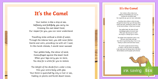 The camel has adaptive traits that helps it survive in its dry environment 1. The Camel Poem Teacher Made