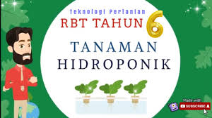 Alasan untuk ini adalah karena tanaman hidroponik. Rbt Tahun 6 Kenali Hidroponik Youtube