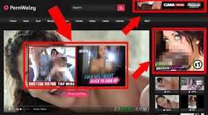 How to Monetize a Porn Site - Best Adult Affiliate Networks in 2021 -  OnlineAdrian