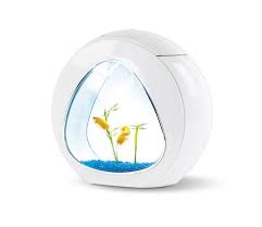 Maybe you would like to learn more about one of these? Jardiland Offre Aquariophilie Aquarium Facebook